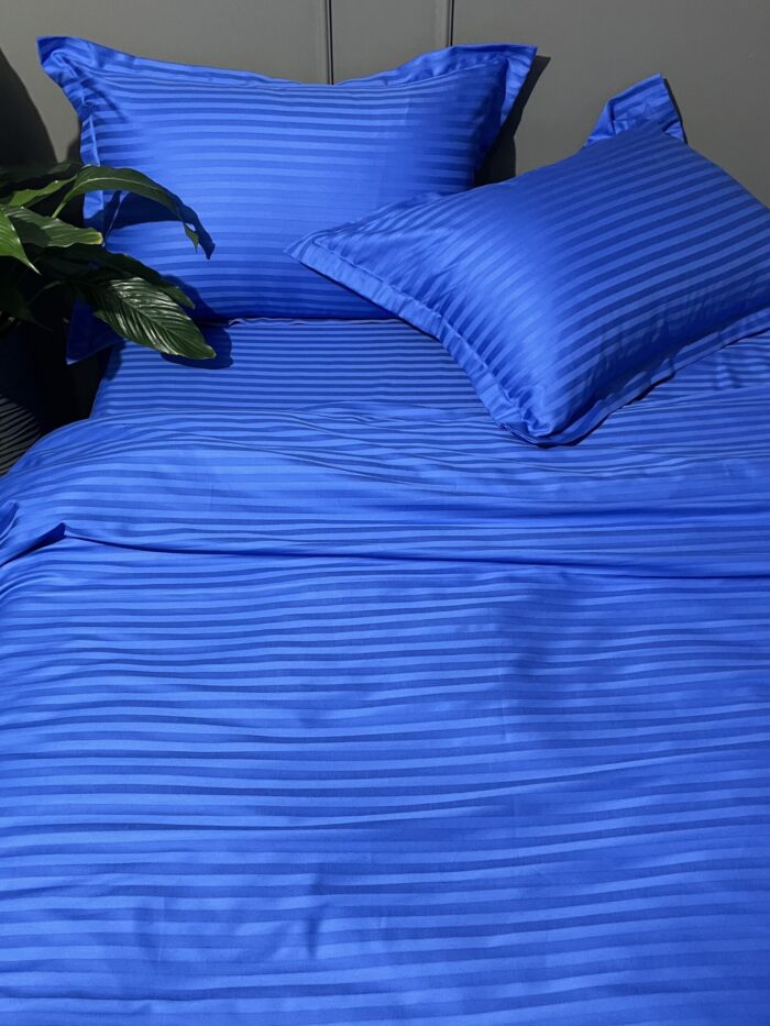 SS electric blue